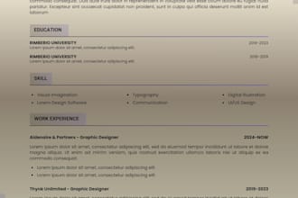 provide 12 hour resume writing, CV writing services