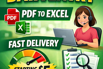 do accurate data entry, PDF to excel and web research