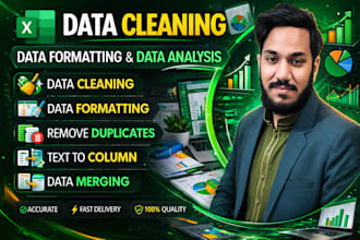 do excel data cleaning, data formatting and data analysis