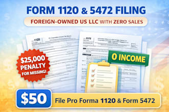 file federal or annual tax returns for a foreign non resident llc with 0 sales