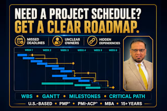 create a professional project plan and gantt chart