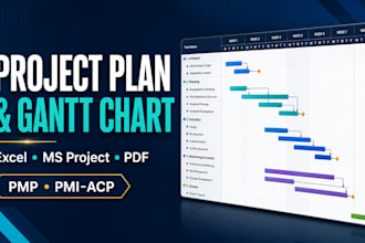 create a professional project plan and gantt chart