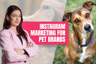 manage instagram content for dog brands and pet products