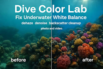 restore natural colors in underwater photos and clips