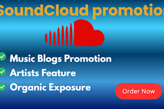 do professional soundcloud promotion for music track