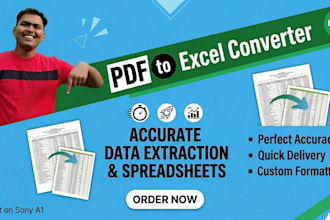convert PDF to excel spreadsheet manually with high accuracy