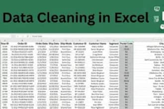 audit, clean and fix your excel data for reliable management