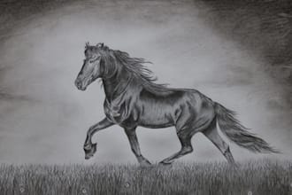 draw a realistic handmade pencil sketch from your photo