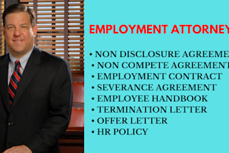 draft employment contracts, ndas, HR policies, offer and termination letters