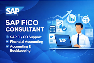 provide sap fico support and financial accounting