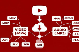 convert any video or link to mp3 or mp4 in 30 minutes