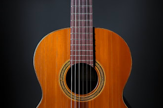 give professional classical guitar lessons