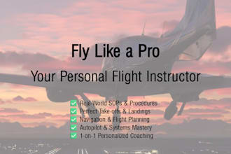 give you flight simulator training lessons