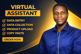 be a fast and reliable virtual assistant