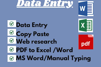 do fast and accurate data entry typing and copypaste work