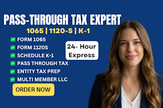 prepare and file irs form 1065 1120s and schedule k1 pass through business tax