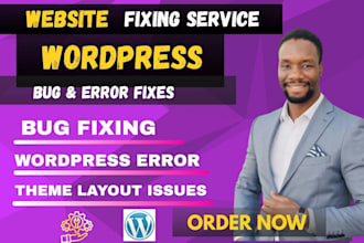 fix wordpress issues, fix wordpress errors, bugs, wordpress help
