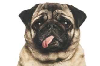 create custom ai art logo and graphics