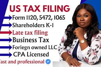 file irs form 1040nr and form 5472 tax return for foreign owned US llc