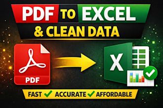 convert PDF to excel and cleaning data professionally