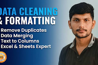 do excel data entry and spreadsheet management