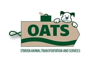 make animal transport logo by air with possible dog and cat