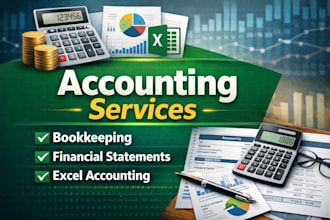 professional bookkeeping and accounting in excel, tally
