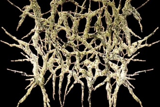 design an unreadable extreme metal logo for your band