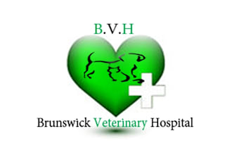 create beautiful logo for a small animal veterinary hospital