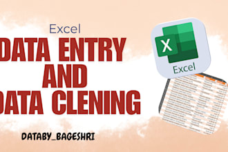 provide expert data entry and data cleaning