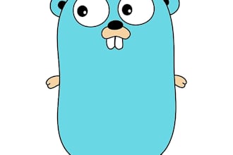 implement backend solutions using golang