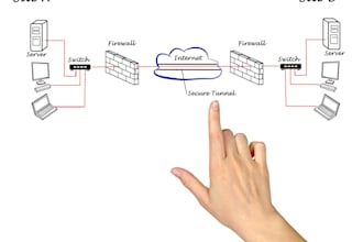 setup secure VPN remote access and network security
