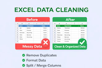 clean, format, organize and fix messy excel data professionally