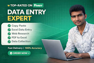 virtual assistant data entry, web scraping and copy paste