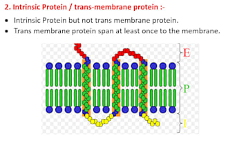 online biology tutoring for high school and collage students