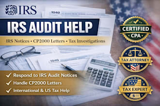 help you respond to an irs audit notice and prepare audit support