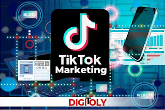 do tiktok marketing, page management, organic tiktok promotion