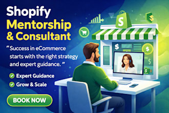 provide shopify mentorship and shopify consultant service
