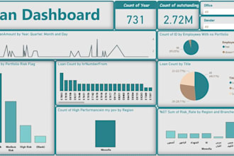 create professional dashboards and data modeling