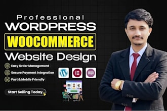 a professional wordpress website, blog, or business site