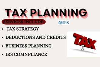 provide professional tax planning and tax strategy services