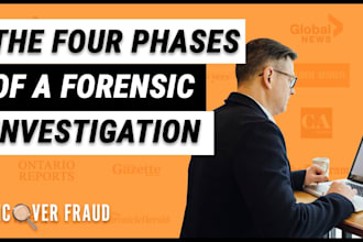 conduct forensic accounting,fraud investigations, and financial audits