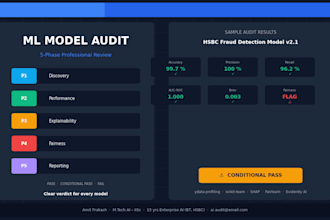 audit your ml model