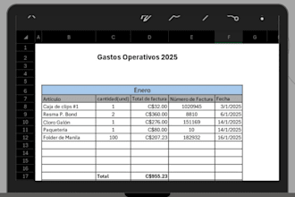 be your virtual assistant for data entry and excel expense tracking