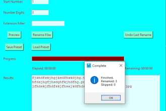 build a custom python file renaming or organization tool