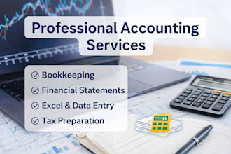 do accounting, gst work, excel data cleaning and entry, and tally bookkeeping