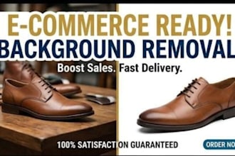 do professional background removal or data entry in 2 hours