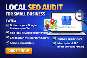 do professional local SEO audit for your small business