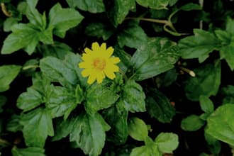 edit aesthetic instagram reels and social media videos