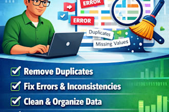 do data cleaning, data formatting and excel data cleanup